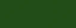6020 - зеленый хром (оливковый)