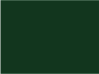 М6005 - зеленый мох ВЕЛЬВЕТ матовый